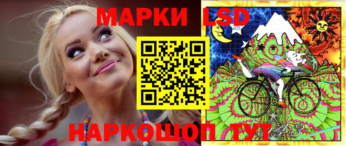 Наркотические марки 1500мкг  Марки 25I-NBOMe  Бийск  Наркотические марки 1500мкг  Вход с VPN 