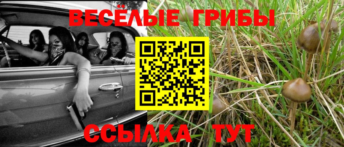 Галлюциногенные грибы мицелий Бийск