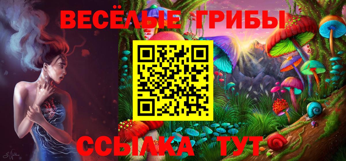 Бийск  Галлюциногенные грибы мицелий  купить наркотик  Вход с VPN 